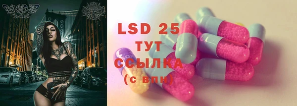 гашик Вязники