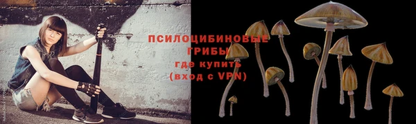 хмурый Вяземский