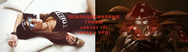 гашик Вязники