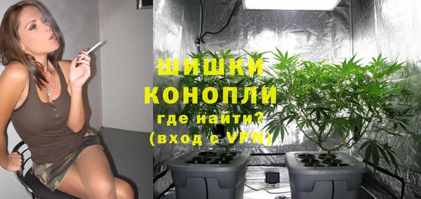 хмурый Вяземский
