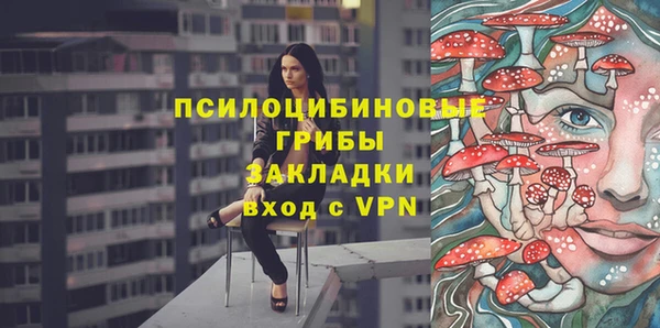 гашик Вязники