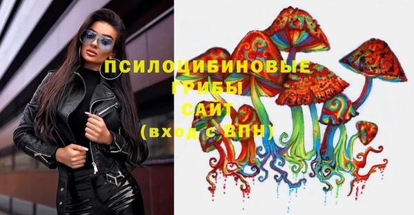 ешки Вязьма