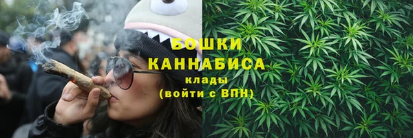 ешки Вязьма