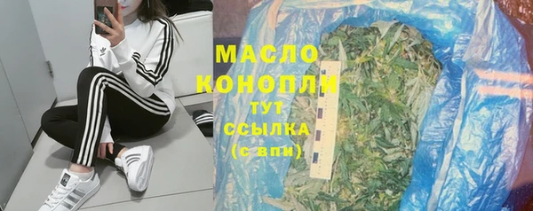 хмурый Вяземский