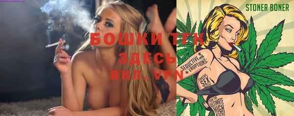хмурый Вяземский