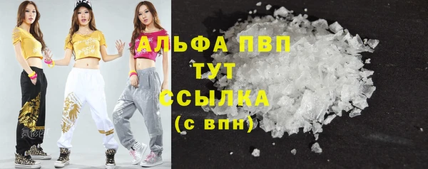 гашик Вязники