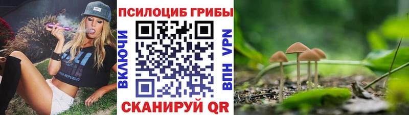МЕГА ссылка Тюмень Галлюциногенные грибы MAGIC MUSHROOMS